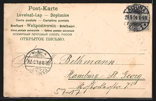 AK Blumenbild, Schaufelraddampfer geschmückt mit Blumen