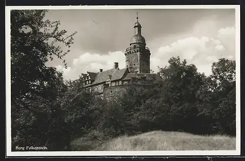 AK Strassberg /Harz, Burg Falkenstein im Selketal