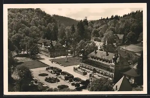 AK Alexisbad /Harz, Blick zum Kurhaus