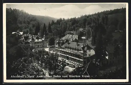 AK Alexisbad i. Harz, Ansicht des Bades vom Eisernen Kreuz