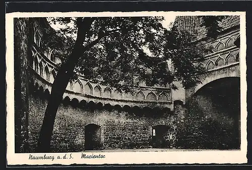 AK Naumburg a. S., Blick auf das Marientor