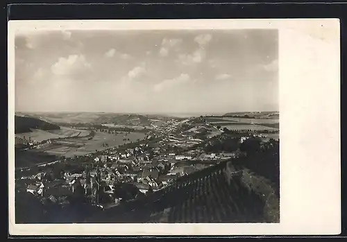 AK Naumburg a. S., Blick vom Edelacker auf die Stadt