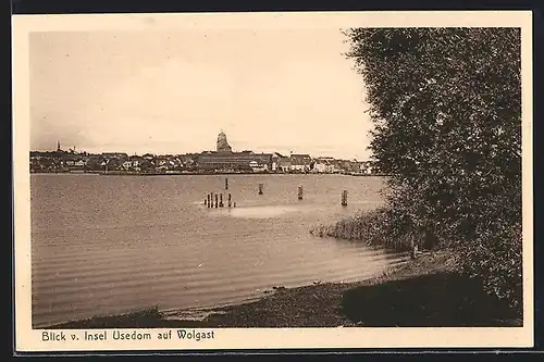 AK Wolgast, Panoramablick vom Ufer