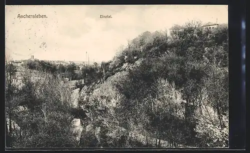 AK Aschersleben, Einetal mit blick auf Burg