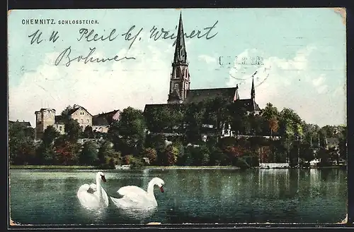 AK Chemnitz, Schlossteich mit Schwänen, Kirche im Hintergrund