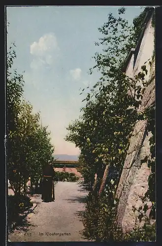 AK Zug, Mönch im Klostergarten