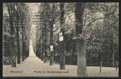 AK Düsseldorf, Partie im Grafenbergerwald