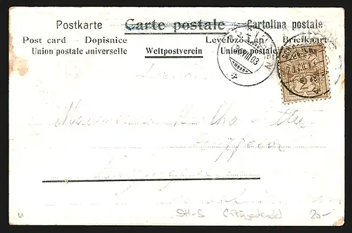 Präge-AK Schaffhausen, Uferpartie, Passepartout