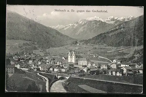 AK Steinach a. Br., Ortsansicht gegen das Gschnitztal