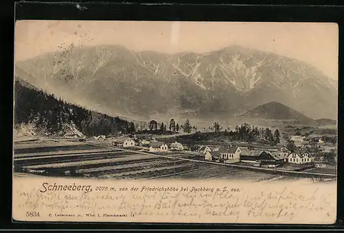 AK Puchberg am Schneeberg, Ortspartie an der Friedrichshöhe