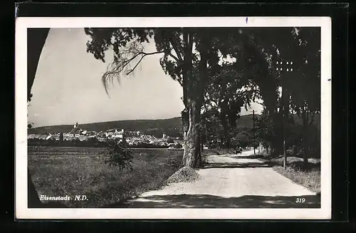 AK Eisenstadt, Teilansicht und Strassenpartie