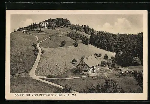 AK Pfänderspitze, Dohle mit Pfänderspitze