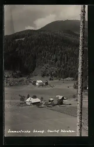 AK Metnitz, Oberhof, Sommerfrische Schwegl aus der Vogelschau