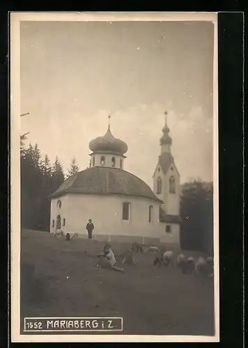 AK Fügen im Zillertal, weidende Schafherde vor der Kirche Mariaberg