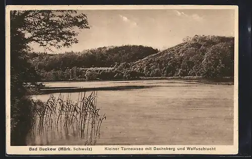 AK Bad Buckow / Märk. Schweiz, Kleiner Tornowsee mit Dachsberg und Wolfsschlucht