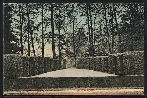 AK Rheinsberg i. Mark, Natur-Theater