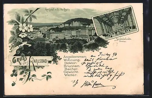 Lithographie Karlsbad, Teilansicht von der Nordseite, Sprudelcolonade, Inneres