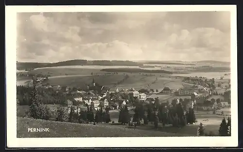 AK Pernink, Totalansicht des Ortes