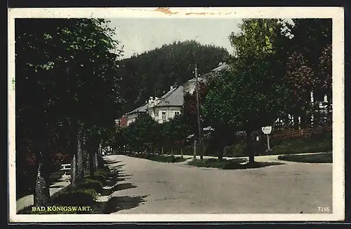 AK Bad Königswart, Strassenpartie