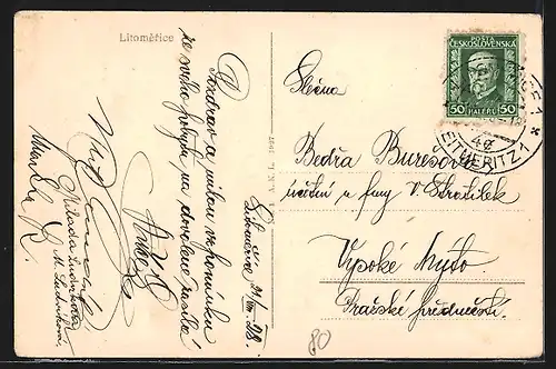 AK Leitmeritz / Litomerice, Ausflugsdampfer und Blick auf die Stadt