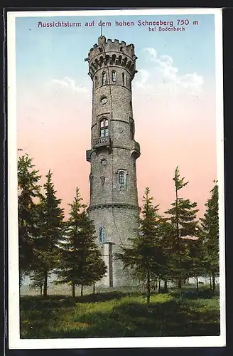 AK Bodenbach, Aussichtsturm auf dem hohen Schneeberg