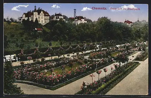 AK Chemnitz, Rosarium im Stadtpark