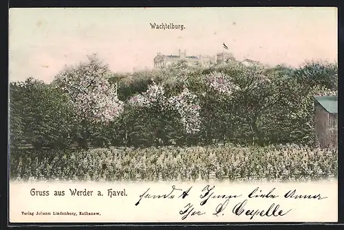 AK Werder a. Havel, Blick auf Wachtelburg im Frühling