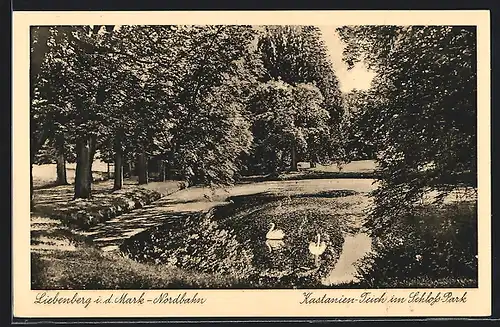 AK Liebenberg i. d. Mark, Kastanien-Teich im Schloss-Park