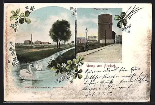 AK Rixdorf, Am Wasserturm, Schwäne am Stadtrand