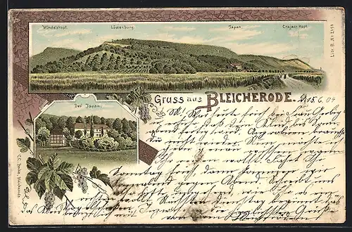 Lithographie Bleicherode, Restaurant Japan, Berg, Panorama mit Löwenburg