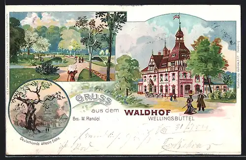 Lithographie Hamburg / Wellingsbüttel, Partie am Waldhof, Deutschlands älteste Eiche, Parkpartie