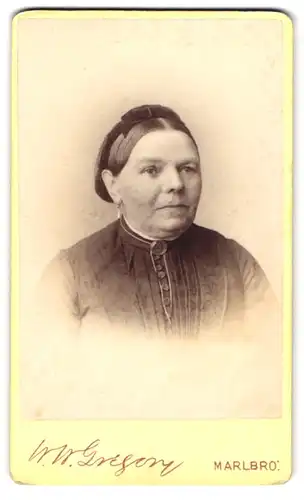 Fotografie W. W. Gregory, Marlsborough, Bürgerliche Dame mit Kragenbrosche