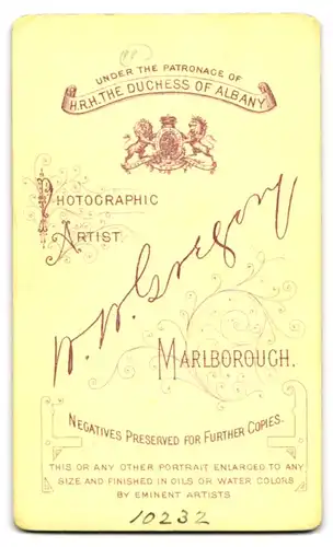Fotografie W. W. Gregory, Marlsborough, Bürgerliche Dame mit Kragenbrosche