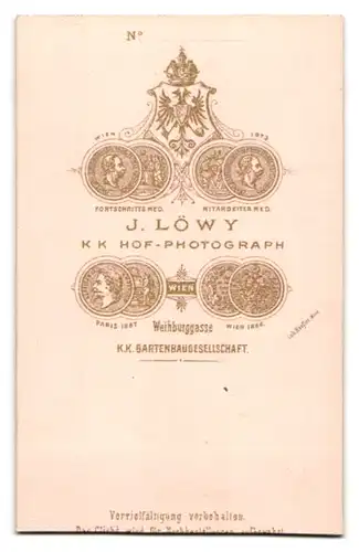 Fotografie J. Löwy, Wien, Weihburggasse, Junge Dame mit Hochsteckfrisur und Amulett