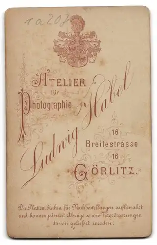 Fotografie Ludwig Habel, Görlitz, Breitestr. 16, Elegant gekleidete Dame mit Kreuzkette