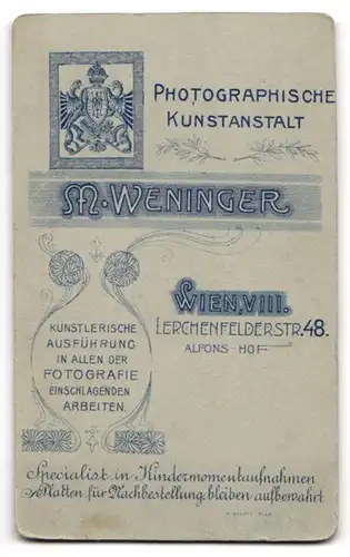 Fotografie M. Weninger, Wien, Lerchenfelderstr. 48, Eleganter Herr mit Schnauzbart