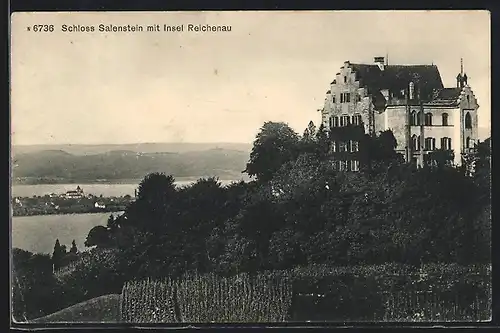 AK Salenstein, Blick auf das Schloss und Insel Reichenau
