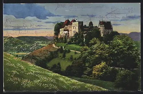 AK Lenzburg, Blick auf das Schloss