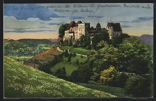 AK Lenzburg, Ansicht vom Schloss