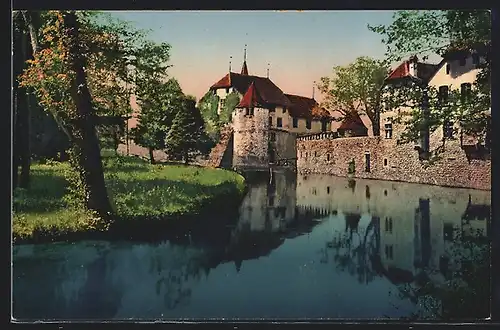 AK Hallwil, Ansicht von Schloss und Park