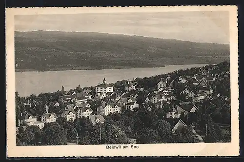 AK Beinwil am See, Ortsansicht aus der Vogelschau