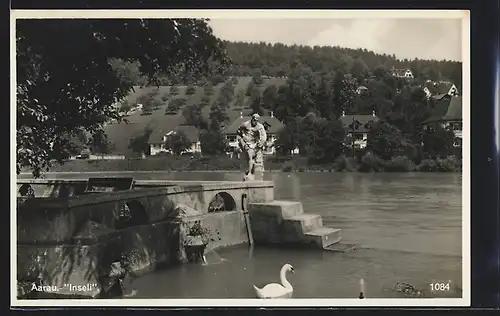 AK Aarau, Inseli mit Statue und Schwan