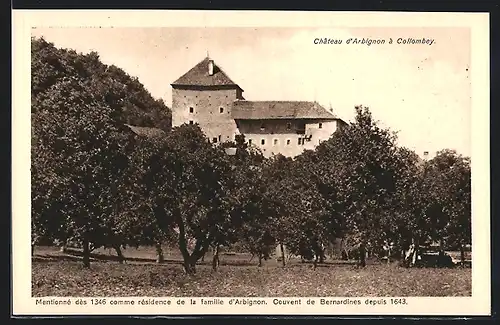 AK Collombey, Chateau d` Arbignon a Collombey