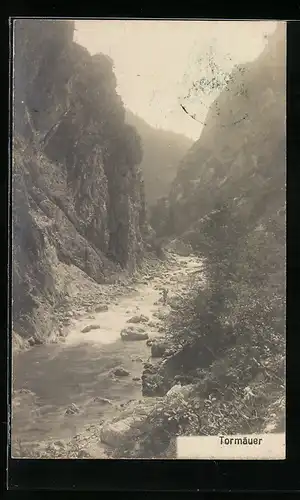 AK Wienerbruck, Tormäuer, Kleiner Bach schlängelt sich durch das Tal