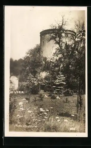 AK Tulln, Blick auf den Stadtturm