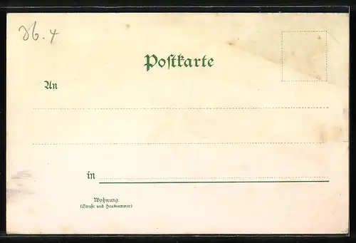 Lithographie Pirna, Heilanstalt Sonnenstein, Rathhaus und Kaiserliches Postamt
