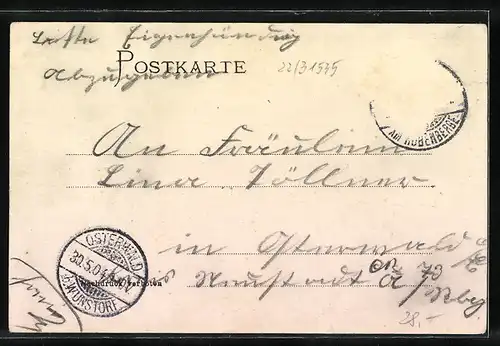 AK Basse / Rübenberge, Gasthof Heinr. Klingemann, Pfarrhaus und Leinefähre