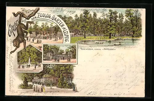 Lithographie Leipzig, Zoologischer Garten, Raubvogel-Käfig, Antilopen-Haus