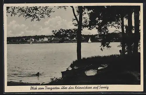 AK Senzig, Blick vom Tiergarten über den Krimnicksee