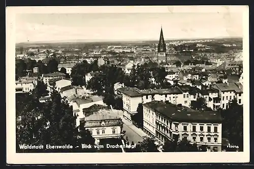 AK Eberswalde, Blick vom Drachenkopf
